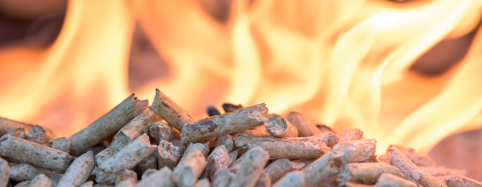 Heizungsmodernisierung